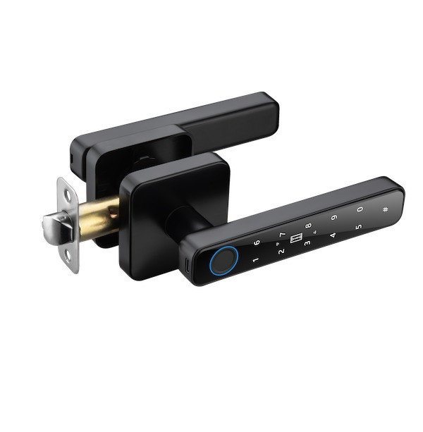 HANDLE BLACK ( CARD VERSION )